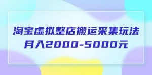 淘宝虚拟整店搬运采集玩法分享课：月入2000-5000元（5节课）倾城领域-倾城领域