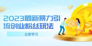 2023最新暴力引流创业粉丝玩法，单日被动引流50+创业粉倾城领域-倾城领域