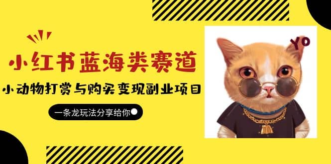 小红书蓝海类赛道：小动物打赏与购买变现副业项目，一条龙玩法分享给你倾城领域-倾城领域