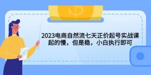 2023电商自然流七天正价起号实战课：起的慢，但是稳，小白执行即可倾城领域-倾城领域