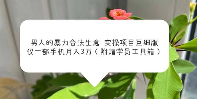 男人的暴力合法生意实操项目巨细版：仅一部手机月入3w（附赠学员工具箱）倾城领域-倾城领域