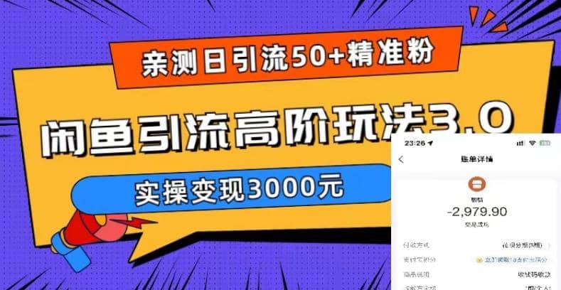 实测日引50+精准粉，闲鱼引流高阶玩法3.0，实操变现3000元倾城领域-倾城领域