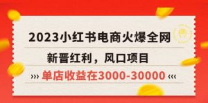 2023小红书电商火爆全网，新晋红利，风口项目，单店收益在3000-30000倾城领域-倾城领域