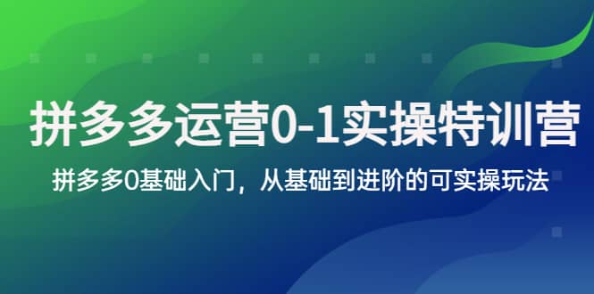 拼多多-运营0-1实操训练营，拼多多0基础入门，从基础到进阶的可实操玩法倾城领域-倾城领域