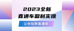 2023全新直通车·盈利实操：从底层，策略到搭建，让你玩转直通车倾城领域-倾城领域