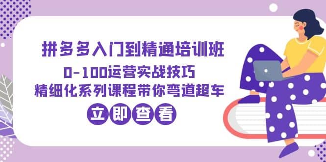 2023拼多多入门到精通培训班：0-100运营实战技巧 精细化系列课带你弯道超车倾城领域-倾城领域