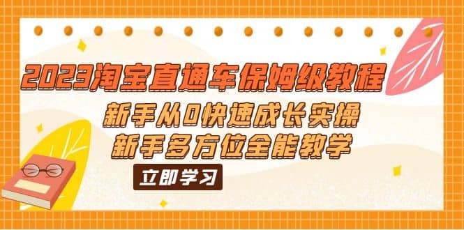 2023淘宝直通车保姆级教程：新手从0快速成长实操，新手多方位全能教学倾城领域-倾城领域