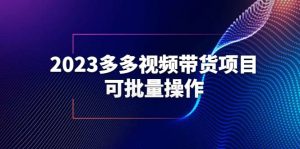 2023多多视频带货项目，可批量操作【保姆级教学】倾城领域-倾城领域