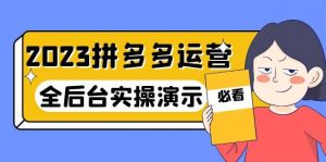 2023拼多多·运营：14节干货实战课，拒绝-口嗨，全后台实操演示倾城领域-倾城领域
