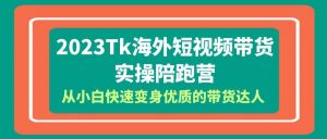 2023-Tk海外短视频带货-实操陪跑营，从小白快速变身优质的带货达人倾城领域-倾城领域