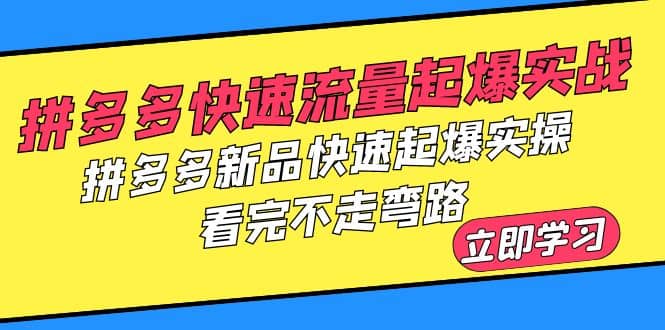 拼多多-快速流量起爆实战，拼多多新品快速起爆实操，看完不走弯路倾城领域-倾城领域