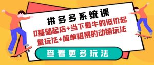 拼多多系统课：0基础起店+当下最牛的低价起量玩法+简单粗暴的动销玩法倾城领域-倾城领域