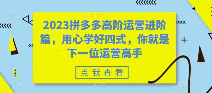 2023拼多多高阶运营进阶篇，用心学好四式，你就是下一位运营高手倾城领域-倾城领域