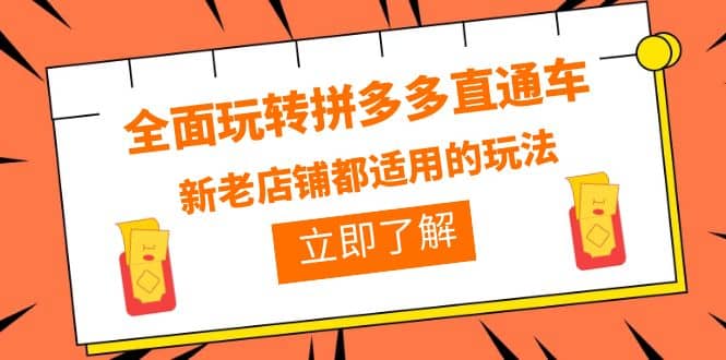 全面玩转拼多多直通车，新老店铺都适用的玩法（12节精华课）倾城领域-倾城领域