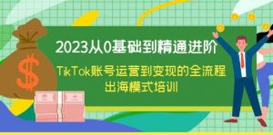 2023从0基础到精通进阶，TikTok账号运营到变现的全流程出海模式培训倾城领域-倾城领域