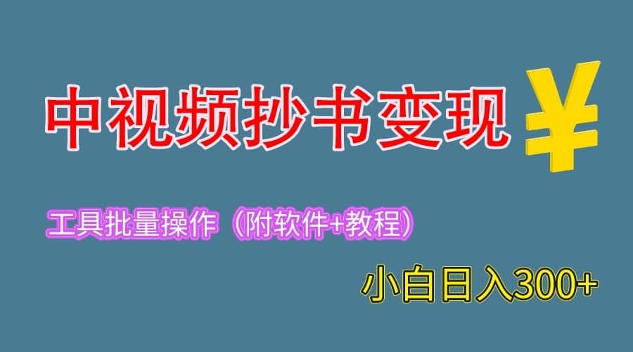 2023中视频抄书变现(附工具+教程),一天300+,特别适合新手操作的副业倾城领域-倾城领域