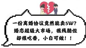 一份离婚协议竟然能卖5W？婚恋超级大市场，很残酷但却很吃香，小白可做倾城领域-倾城领域