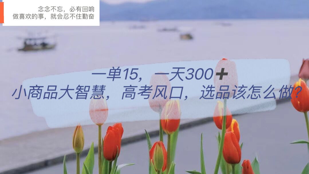 一单15,一天300+,小商品大智慧,高考风口,选品该怎么布局倾城领域-倾城领域