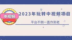2023一心0基础玩转中视频项目：平台不倒，一直做到老倾城领域-倾城领域