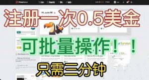 国外项目注册一次0.5美金 只需三分钟无脑操作 可批量放大 小白工作室福利倾城领域-倾城领域