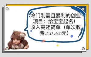 冷门刚需且暴利的创业项目：给宝宝起名！收入高还简单（单次200-500）倾城领域-倾城领域