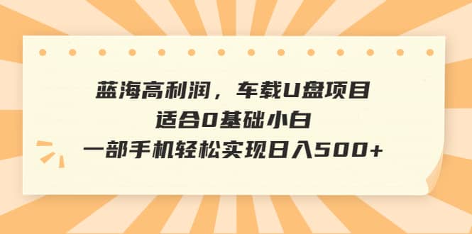 蓝海高利润，车载U盘项目，适合0基础小白，一部手机轻松实现日入500+倾城领域-倾城领域