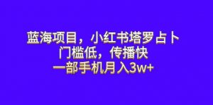 蓝海项目，小红书塔罗占卜，门槛低，传播快，一部手机月入3w+倾城领域-倾城领域