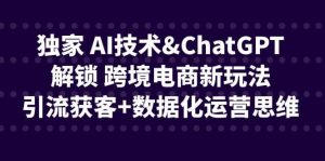 独家 AI技术ChatGPT解锁 跨境电商新玩法，引流获客+数据化运营思维倾城领域-倾城领域