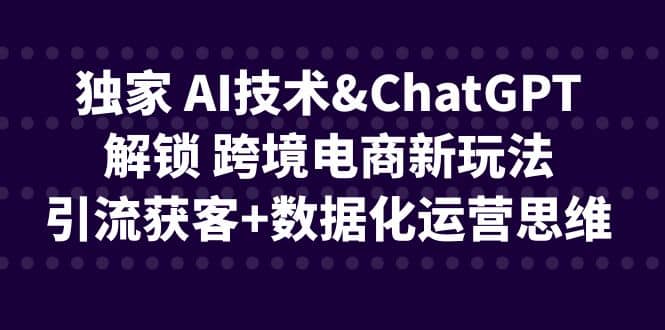 独家 AI技术ChatGPT解锁 跨境电商新玩法，引流获客+数据化运营思维倾城领域-倾城领域