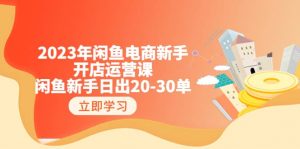 2023年闲鱼电商新手开店运营课：闲鱼新手日出20-30单（18节-实战干货）倾城领域-倾城领域