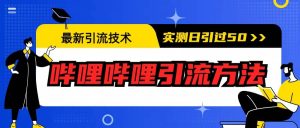 最新引流技术：哔哩哔哩引流方法，实测日引50+倾城领域-倾城领域