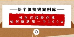 新个体 搞钱案例 库，可以直接抄作业 如何赚到第一个100w（29节视频+文档）倾城领域-倾城领域
