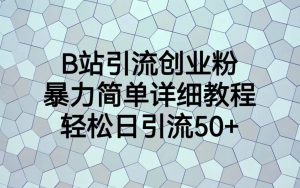 B站引流创业粉，暴力简单详细教程，轻松日引流50+倾城领域-倾城领域