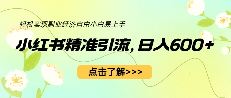 小红书精准引流，小白日入600+，轻松实现副业经济自由（教程+1153G资源）倾城领域-倾城领域