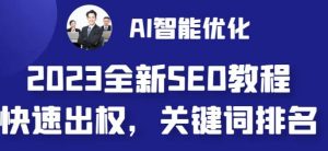 2023最新网站AI智能优化SEO教程，简单快速出权重，AI自动写文章+AI绘画配图倾城领域-倾城领域