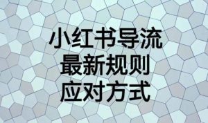 小红书导流最新规则应对方式【揭秘】倾城领域-倾城领域