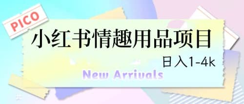 最新小红书情趣用品项目，日入1-4k倾城领域-倾城领域