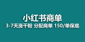 2023最强蓝海项目，小红书商单项目，没有之一倾城领域-倾城领域