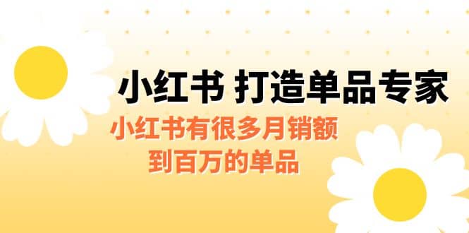 某公众号付费文章《小红书 打造单品专家》小红书有很多月销额到百万的单品倾城领域-倾城领域