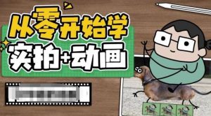 从零开始学实拍加动画，实拍加动画创意教程（49节视频课）倾城领域-倾城领域