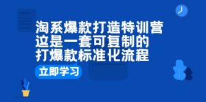 淘系爆款打造特训营：这是一套可复制的打爆款标准化流程倾城领域-倾城领域