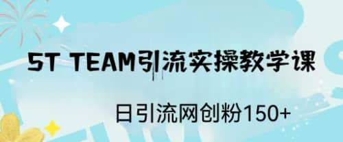 ST TEAM引流实操课，日引流网创粉100+倾城领域-倾城领域