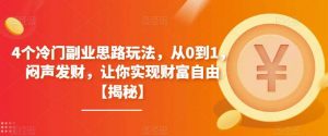 4个冷门副业思路玩法，从0到1，闷声发财，让你实现财富自由【揭秘】倾城领域-倾城领域