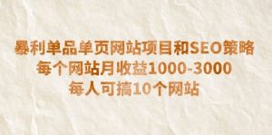 暴利单品单页网站项目和SEO策略 每个网站月收益1000-3000 每人可搞10个倾城领域-倾城领域
