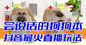抖音无人直播玩法会说话的狗狗本弹幕礼物互动小游戏（游戏软件+开播教程）倾城领域-倾城领域