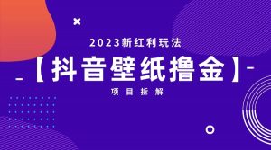 2023新红利玩法：抖音壁纸撸金项目倾城领域-倾城领域