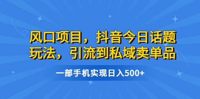 风口项目，抖音今日话题玩法，引流到私域卖单品，一部手机实现日入500+倾城领域-倾城领域