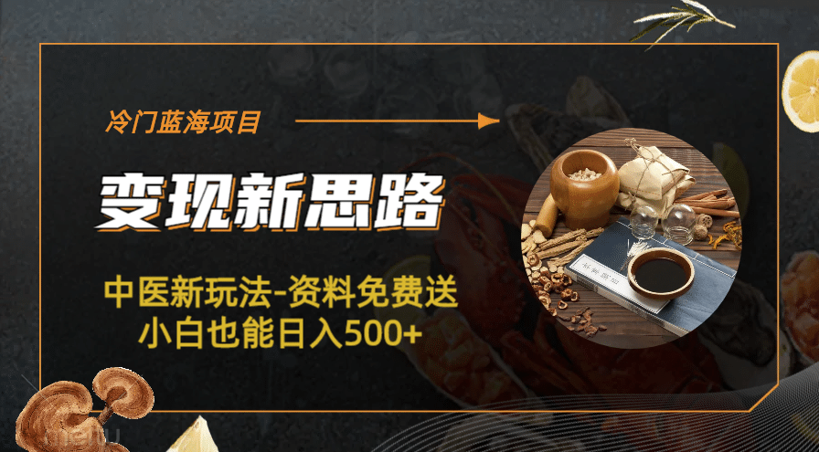 冷门蓝海项目-中医新玩法-冷门蓝海项目-中医新玩法-资料免费送小白也能日入500+500+倾城领域-倾城领域