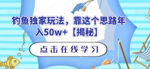 钓鱼独家玩法，靠这个思路年入50w+【揭秘】倾城领域-倾城领域