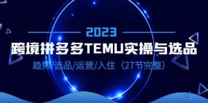 2023跨境·拼多多·TEMU实操与选品，趋势·选品·运营·入住（27节完整）倾城领域-倾城领域